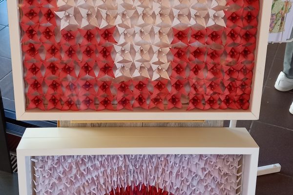 第１７回カオマバザー２０２２、アルバム1